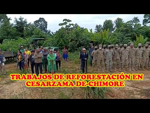 COMUNARIOS SINDICATO VALLE HERMOSO CENTRAL SANTA ROSA REALIZAR REFORESTACIÓN RIO CESARZAMA