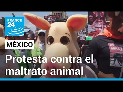 Protestas en México contra el maltrato animal y el regreso de las corridas de toros • FRANCE 24