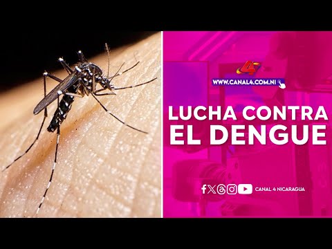 Nicaragua refuerza la lucha contra el dengue con nuevas brigadas de salud