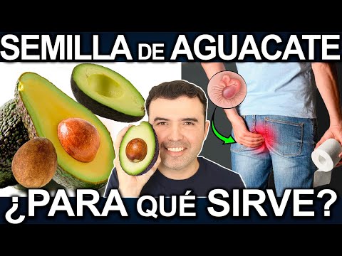 ¡REVELADO! SEMILLA DE AGUACATE ¿Para Qué Sirve? - Beneficios de La Semilla de Aguacate