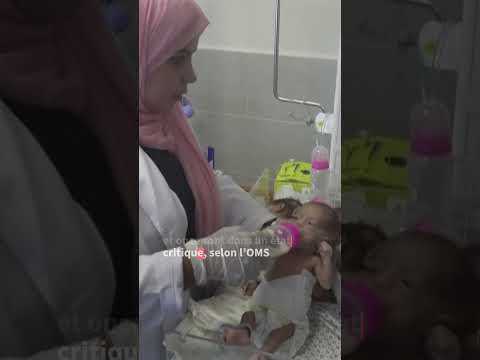 Gaza: 28 bébés prématurés évacués d'al-Chifa sont arrivés en Egypte