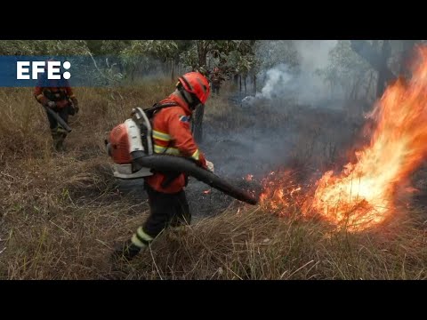 Bomberos luchan por controlar incendios en el Pantanal mientras las llamas retroceden