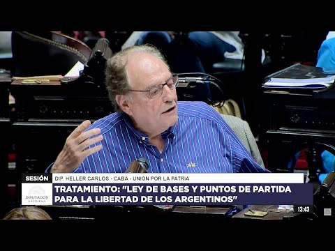 Heller adelantó el rechazo total del kirchnerismo al proyecto de ley Bases enviado por Milei