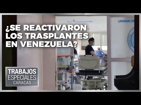 ¿Se reactivaron los trasplantes en Venezuela?- Especiales VPItv
