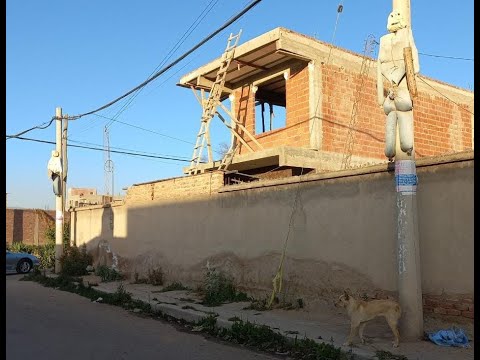 (U. Móvil) Cuatro perros mueren envenenados en Cochabamba