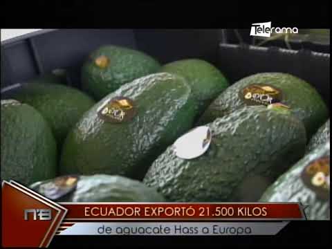 Ecuador exportó 21 500 kilos de aguacate Hass a Europa
