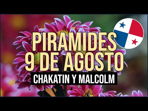 Pirámide Lotería de Panamá Miércoles 9 de Agosto 2023  - Pirámide de Chakatin y Malcolm Ramos