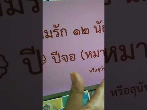 คลิป​สั้น​ปี​จอ(หมา)​ดวง​ความร