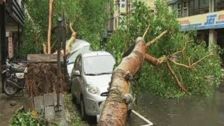 فيديو : إعصار شديد في تايوان يعطل الحياة