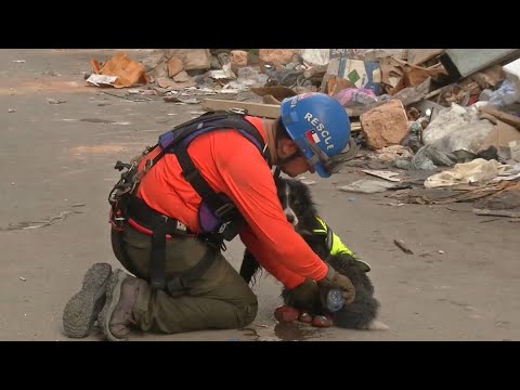Intensa búsqueda de los “Topos chilenos” en Beirut a un mes de la explosión
