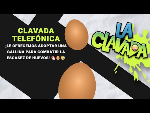 Clavada Telefónica: ¡Le Ofrecemos Adoptar una Gallina para Combatir la Escasez de Huevos!