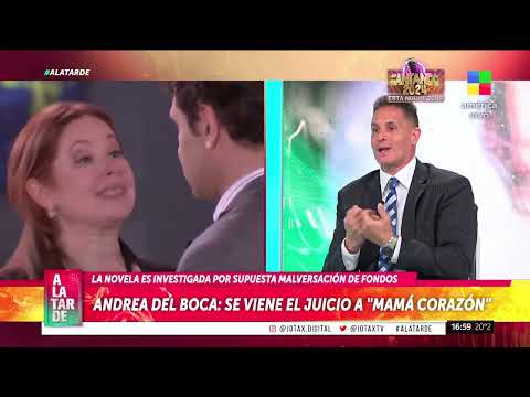 Ya hay FECHA DE JUICIO para LA NOVELA Mamá Corazón de Andrea Del Boca