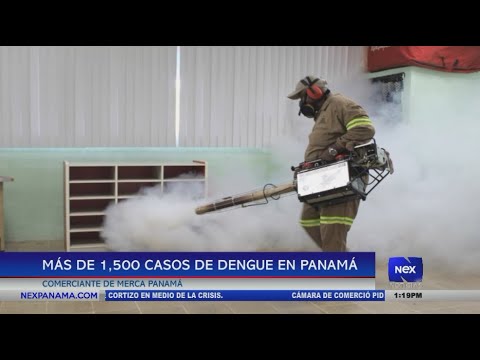 Minsa reporta más de 1,500 casos de dengue en Panamá