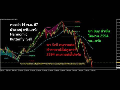 สอนเทรดทองคำไม่ล้างพอร์ตข่าว