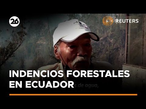 Quiteños regresan a sus casas destruidas tras los incendios forestales | #Reuters