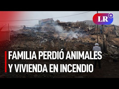 Familia PERDIÓ más de 100 ANIMALES tras INCENDIO en Ventanilla | #LR