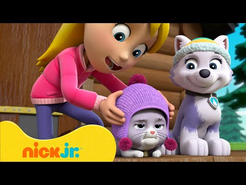 Kätzchen und Haustierrettungen mit Everest, Chase und co! | Nick Jr. Deutschland