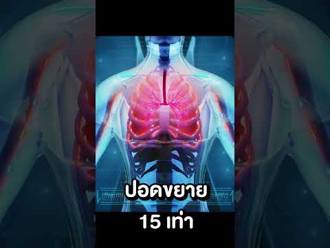 เมื่อหัวใจสมองถูกมวงสิทธิ์2