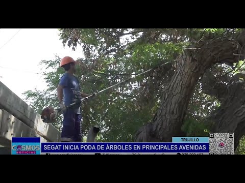 Trujillo: SEGAT inicia poda de árboles en principales avenidas