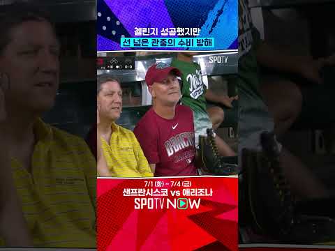 담장 넘은 관중의 슈퍼 캐치 