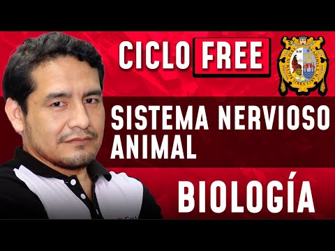 Sistema Nervioso Animal  Biología [CICLO FREE]