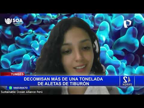 Tumbes: Incautan más de una tonelada de aletas de tiburón (2/2)