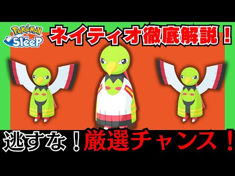 【必見】新登場ネイティオ徹底解説！きのみタイプの中で使える？他ポケモンとの比較&厳選するべきかについて【ポケモンスリープ】