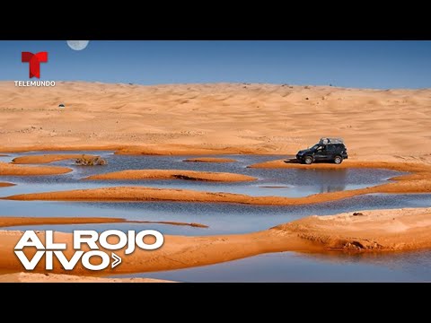 Brota agua en el desierto del Sahara tras una rara lluvia