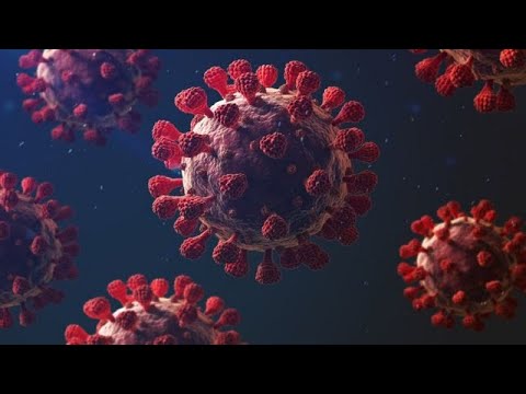 El coronavirus y sus nuevas variantes siguen ganando terreno en Latinoamérica
