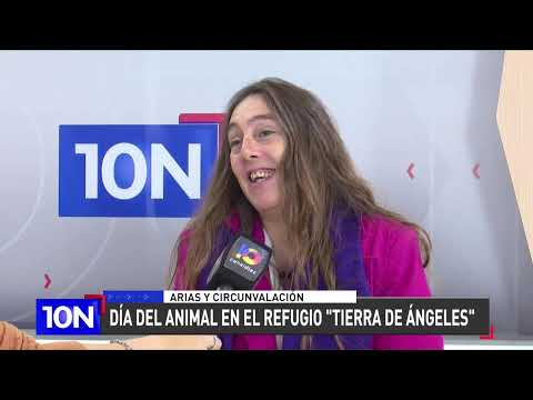 ?EN VIVO  10 Noticias    Canal Diez