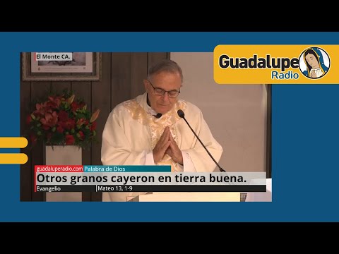 Evangelio de hoy 24/julio/2024