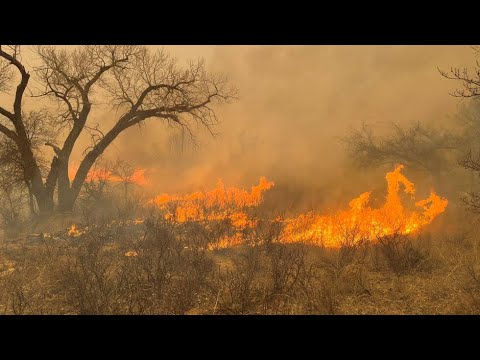 États-Unis : le Texas affronte le plus grand incendie de son histoire