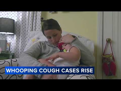 Health officials warn of rise in 'highly contagious' whooping cough in Philadelphia region