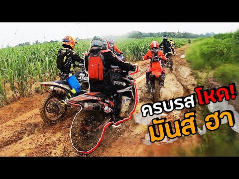 เข้าป่า-มันส์ที่สุดในรอบปี-โหด เข้าป่า-มันส์ที่สุดในรอบปี-โหด