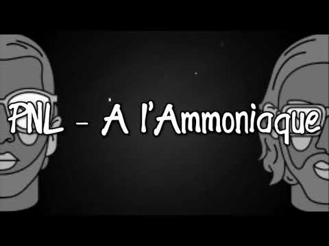 PNL - À L'amoniaque ( Parole/ Lyrics avec son )