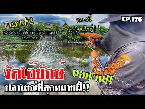 🎣🐠-We-are-Angler-EP:176-part2- 🎣🐠-We-are-Angler-EP:176-part2-