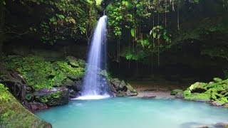 Dominica Travel