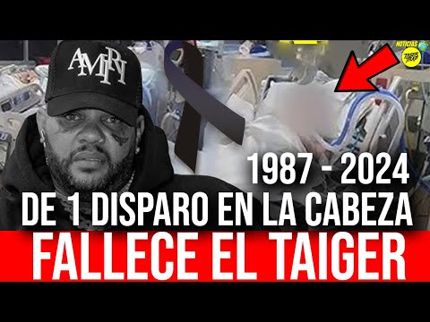 FALLECE EL TAIGER TRAS UN DISP4RO EN LA CABEZA