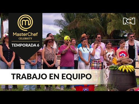 Las celebridades eligieron estratégicamente sus equipos | MasterChef Celebrity