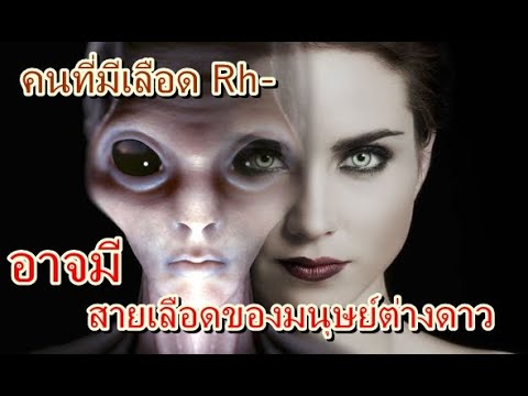 เลือด-Rh--ที่มีเพียง-12-เปอร์เ เลือด-Rh--ที่มีเพียง-12-เปอร์เ