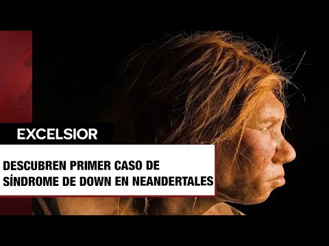 Descubren el primer caso de síndrome de Down en neandertales
