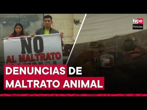 Maltrato animal: vecinos denuncian casos de violencia contra las mascotas #EspacioCiudadano