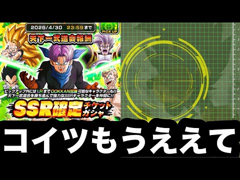 LRが出ると話題の天下一SSRガシャ引いてみた！【ドッカンバトル】【Dragon Ball Z Dokkan Battle】