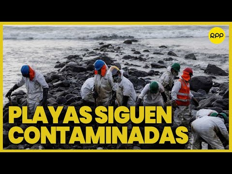 Lima: Playas continúan contaminadas por derrame de petróleo de Repsol