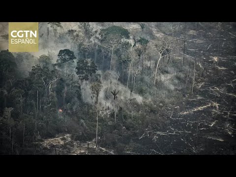 Suman 18 fallecidos por incendios forestales en Perú