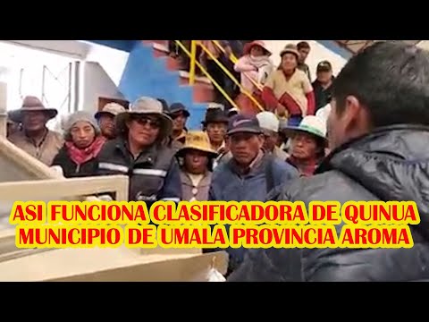 INAUGURACIÓN DE LA CLASIFICADORA DE QUINUA EN MUNICIPIO DE UMALA QUE SERVIRA A LOS PRODUCTORES..