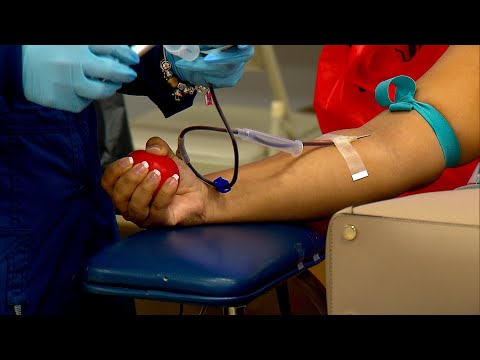 Realizaron jornada de donación de sangre en el Arzobispado de Panamá