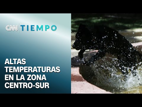 Hasta 39 °C en El Maule y Ñuble: El pronóstico para este fin de semana | CNN Tiempo