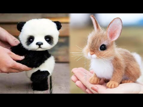 Animals SOO Cute! Cute baby animals Videos Compilation cutest moment of the animals #9