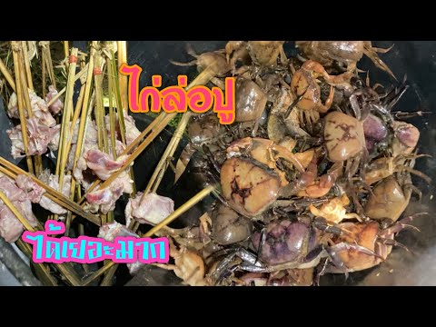 อีสานบุก.พามาใส่🦀ไก่ล่อปู🦀คุบอ